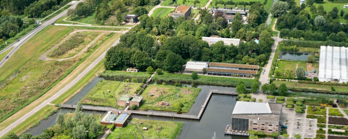 AAP from the sky 2010