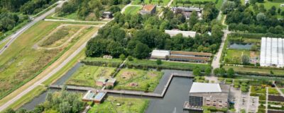 AAP from the sky 2010