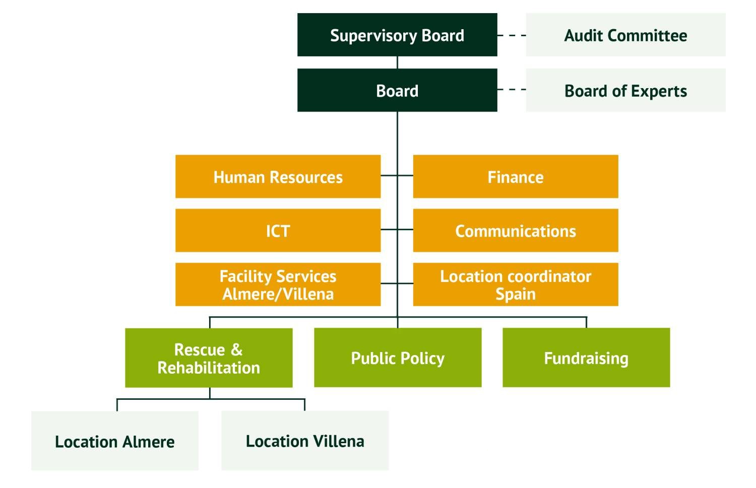 organogramAAP_FEB23_ENG_OCT24